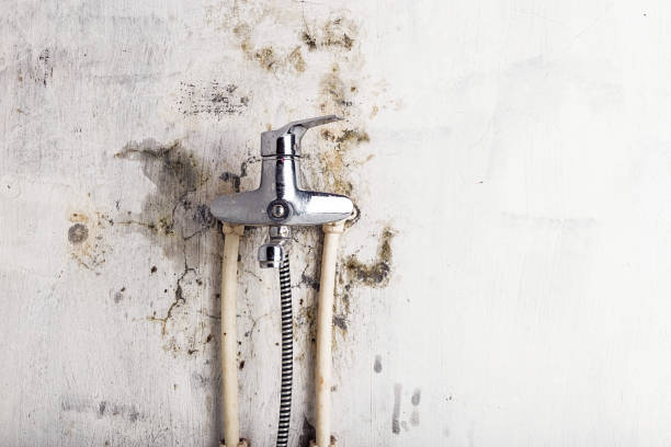 Best Mold Testing  in Chester Heights, PA
