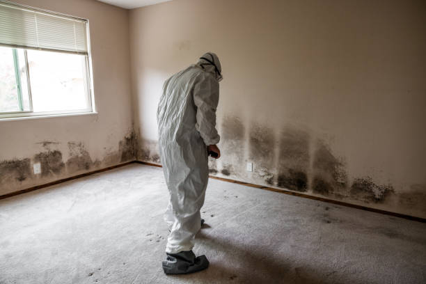 Water Damage Restoration in Chester Heights, PA